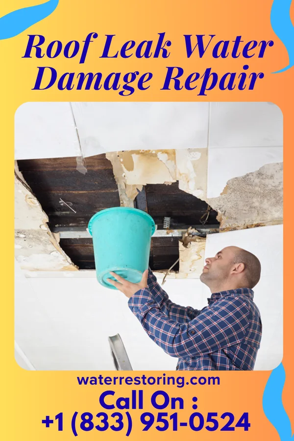 Roof Leak Water Damage Repair in Oak Creek, CO